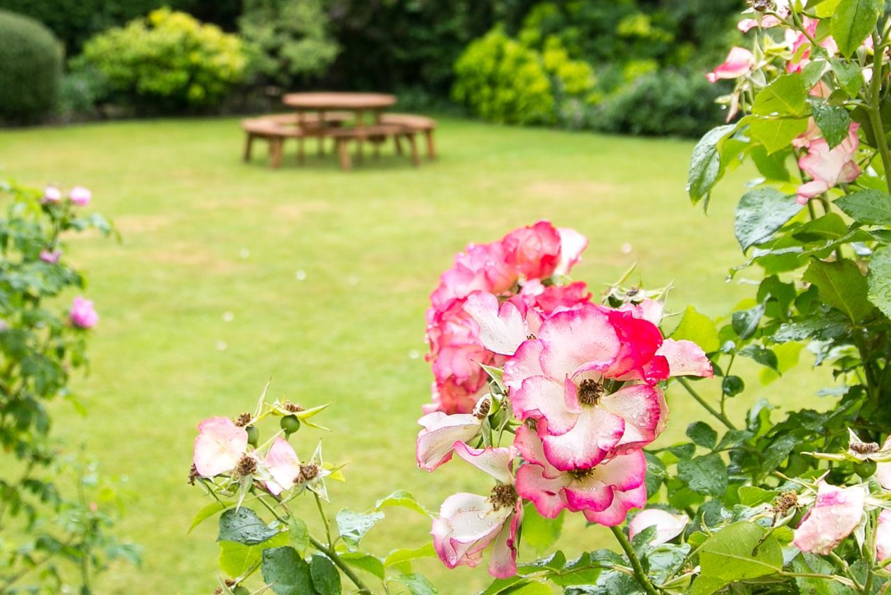 Beechwood Close ยอร์ค ภายนอก รูปภาพ
