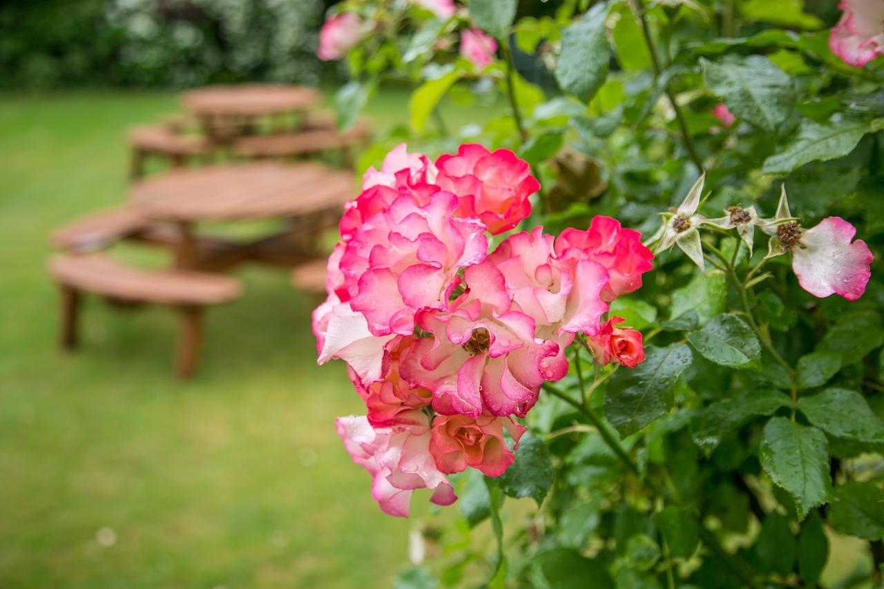 Beechwood Close ยอร์ค ภายนอก รูปภาพ